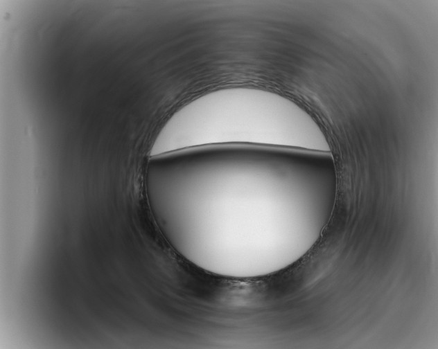 X0000096180083200801180859