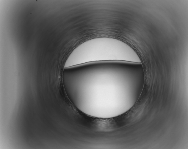 X0000096180085200801180859