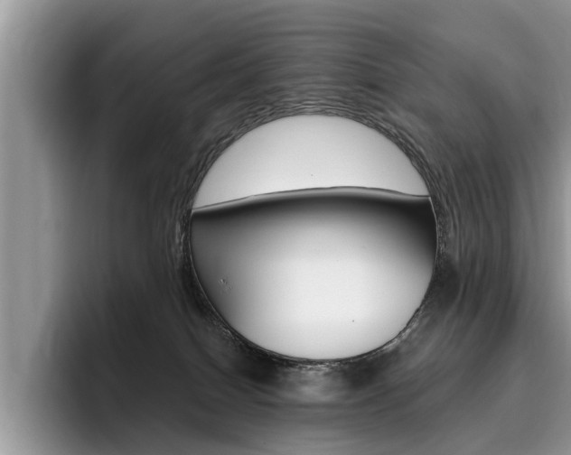 X0000096180086200801180859