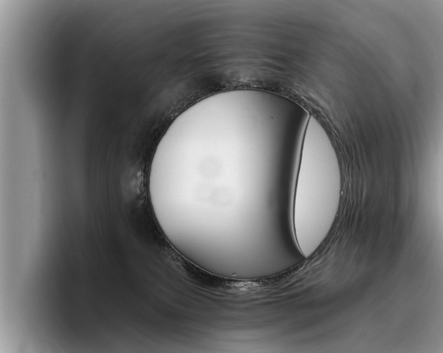 X0000096180087200801180859