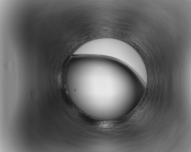 X0000096180088200801180859