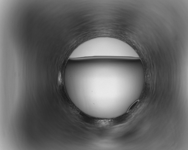 X0000096180089200801180859