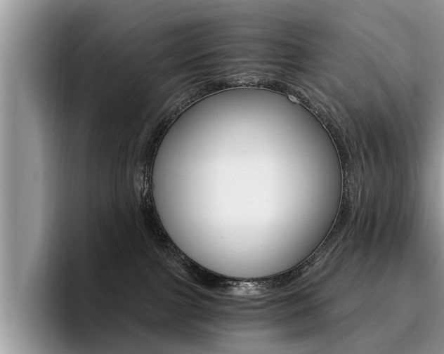 X0000096180091200801180859