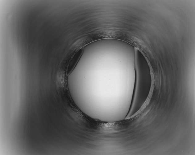 X0000096180092200801180859