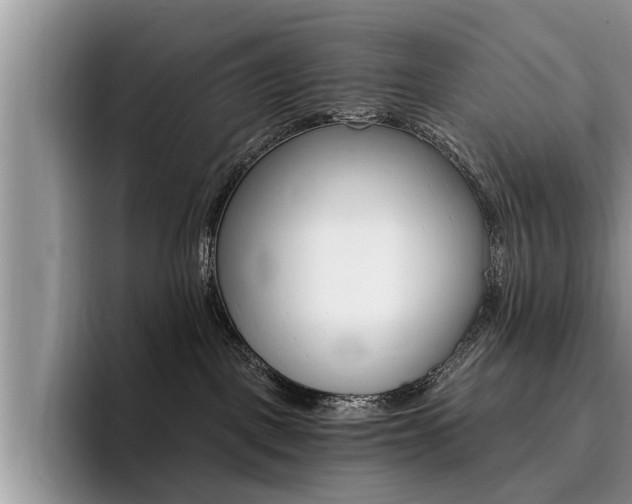 X0000096180093200801180859