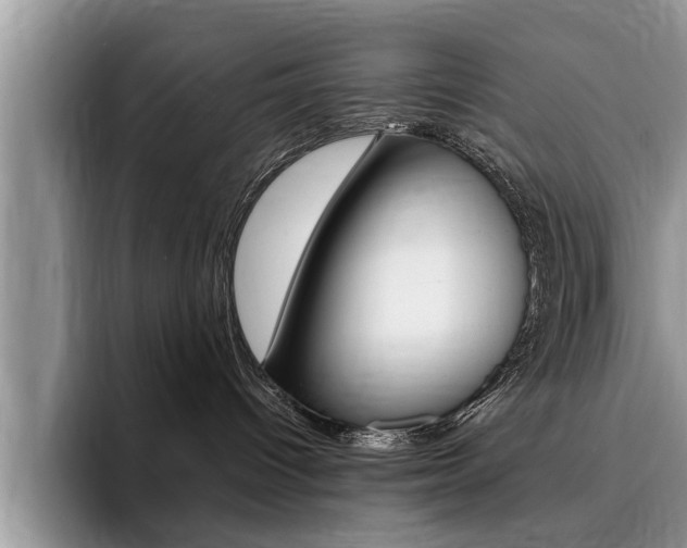 X0000096180096200801180859