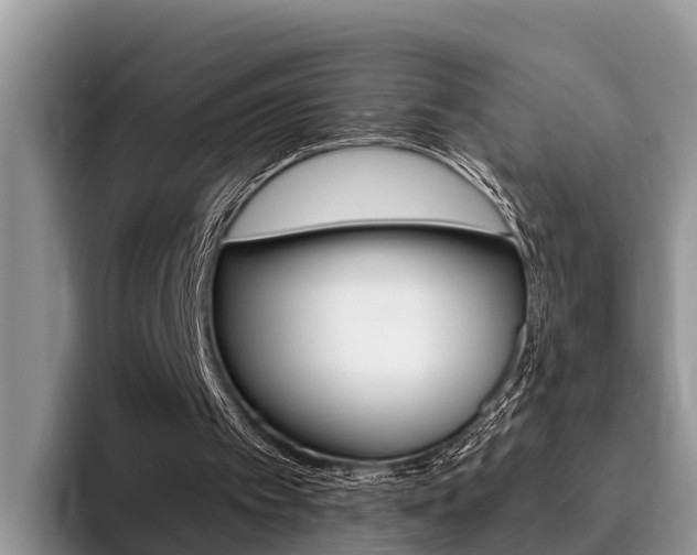 X0000096180097200801180858