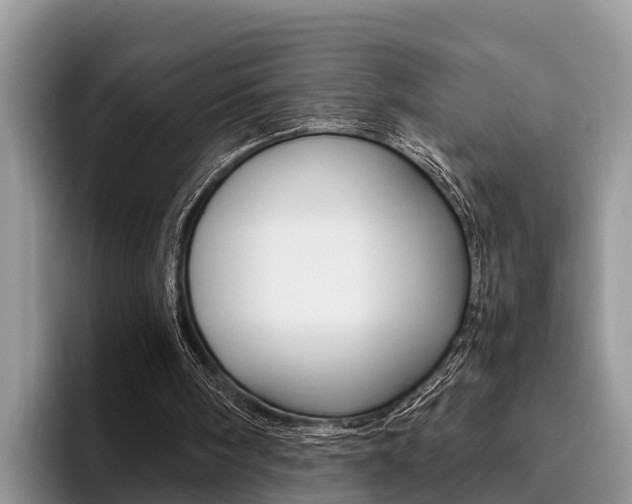 X0000096180098200801180858