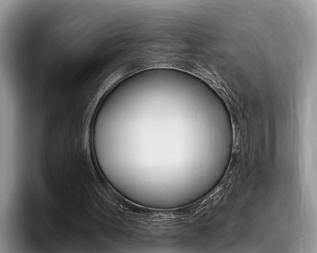 X0000096180099200801180858