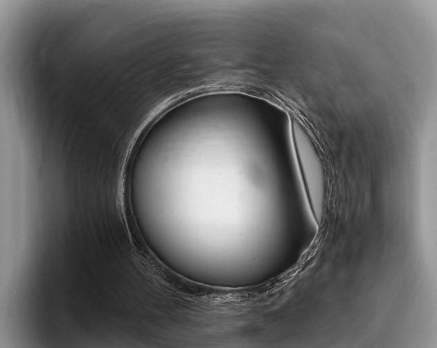 X0000096180100200801180858