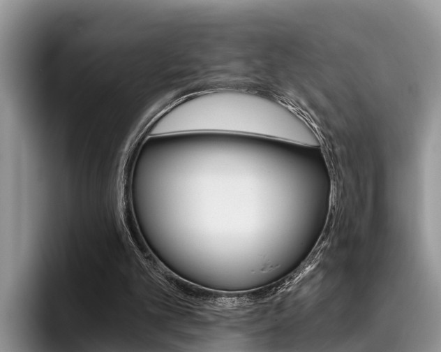 X0000096180101200801180858