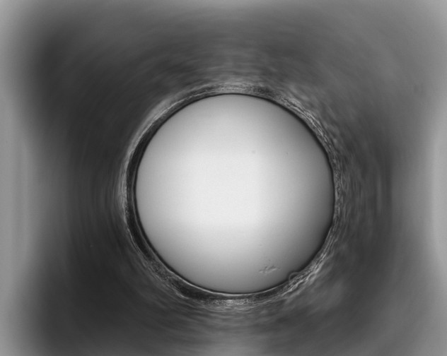 X0000096180102200801180858