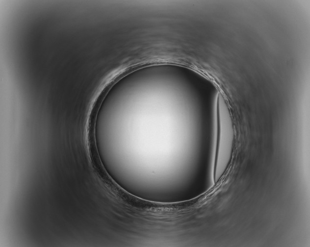 X0000096180104200801180858