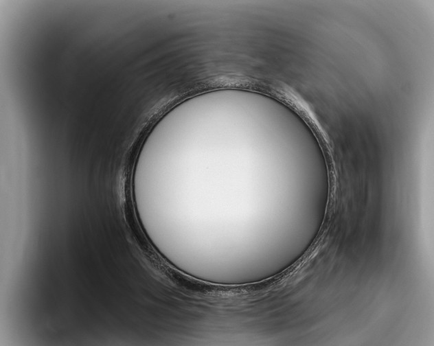 X0000096180106200801180858