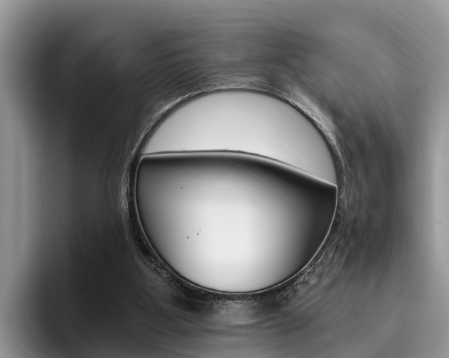 X0000096180107200801180858