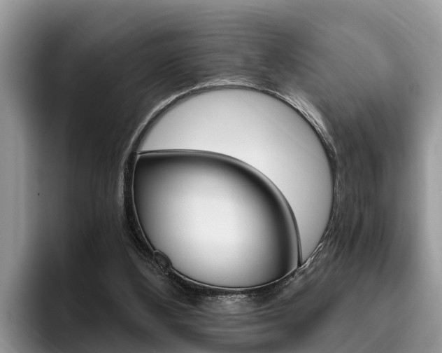 X0000096180108200801180858
