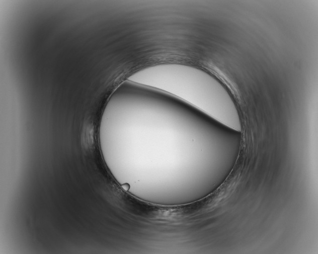 X0000096180117200801180858