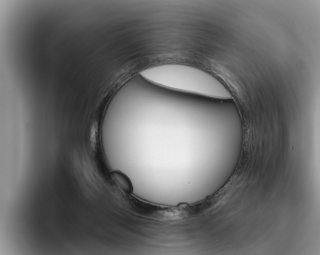 X0000096180118200801180858