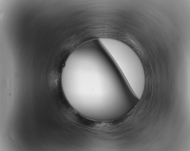 X0000096180125200801180858