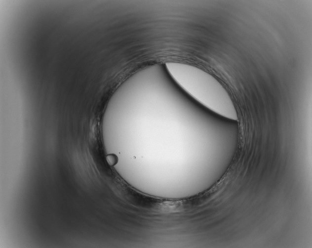 X0000096180126200801180858