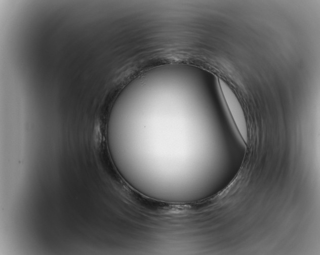 X0000096180128200801180858
