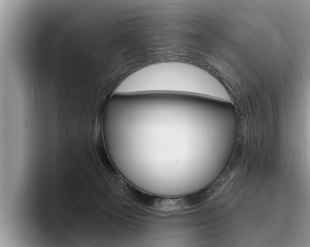X0000096180129200801180858