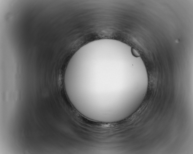X0000096180130200801180858
