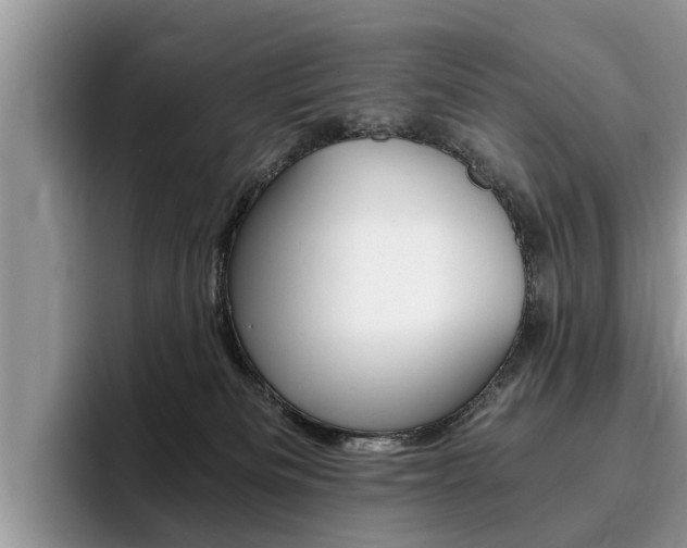 X0000096180133200801180858