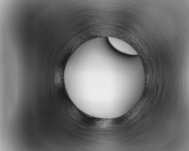 X0000096180138200801180858