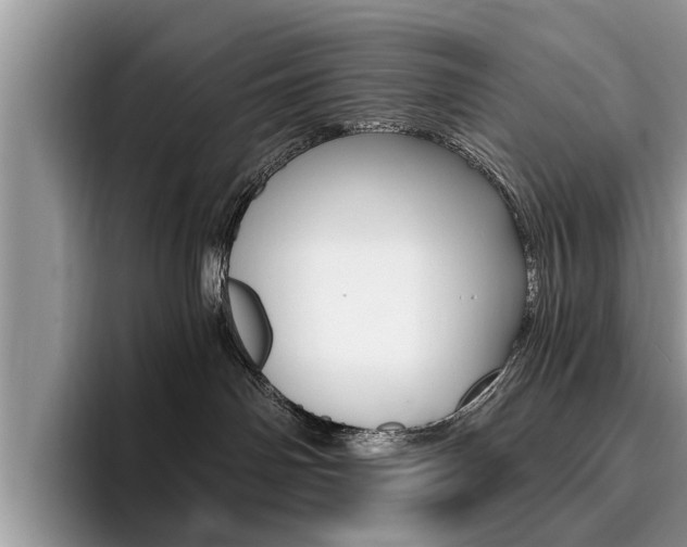 X0000096180142200801180858