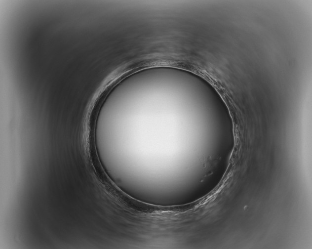 X0000096180150200801180857