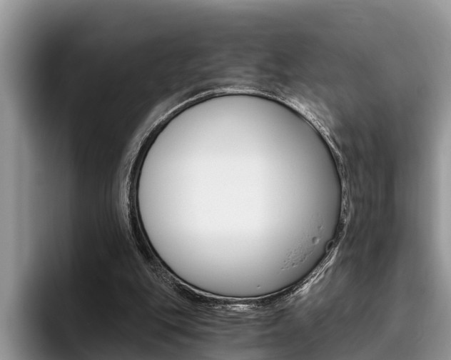 X0000096180151200801180857