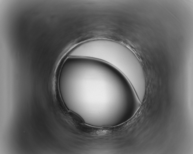X0000096180152200801180857