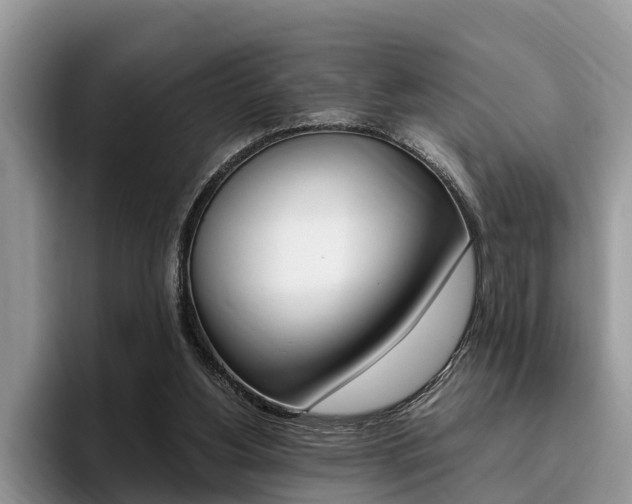 X0000096180156200801180857