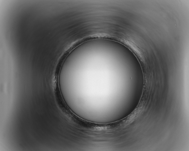 X0000096180160200801180857
