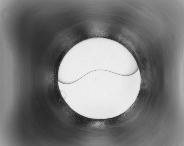 X0000096180162200801180857
