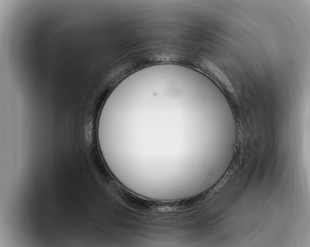 X0000096180163200801180857