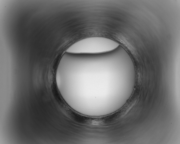 X0000096180165200801180857