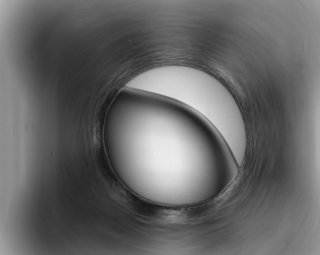 X0000096180170200801180857