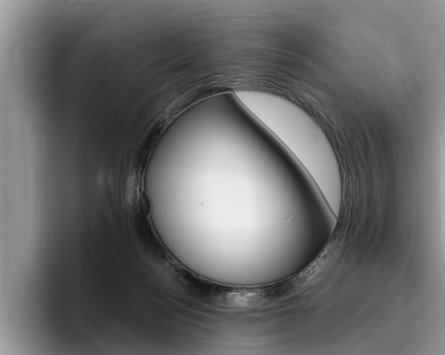 X0000096180172200801180857