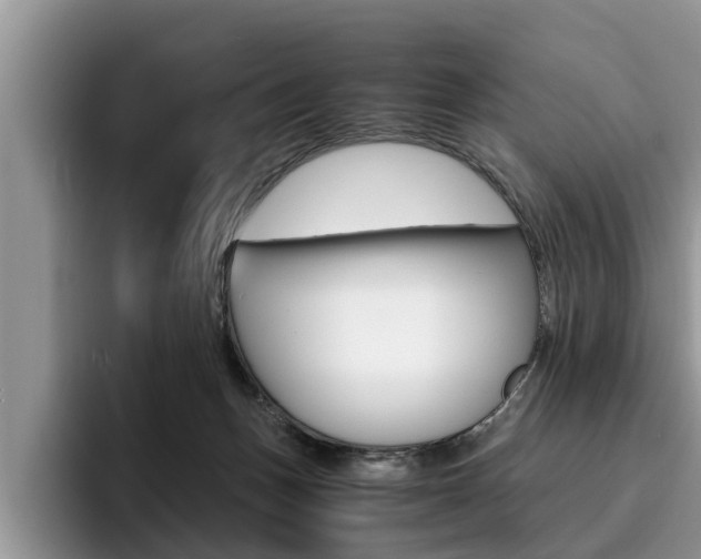 X0000096180175200801180857