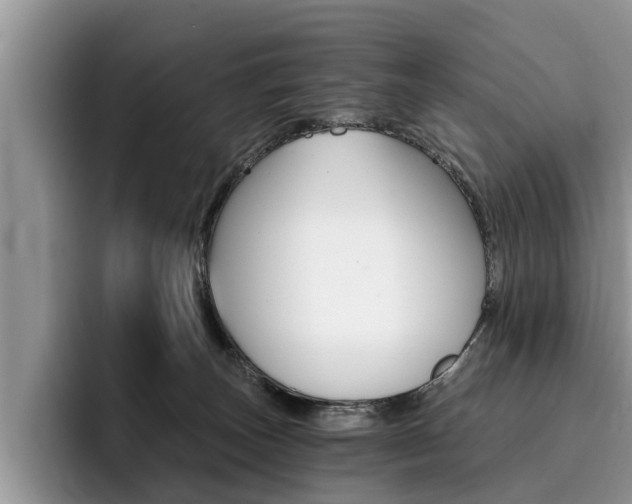 X0000096180179200801180858