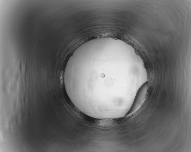 X0000096180191200801180858