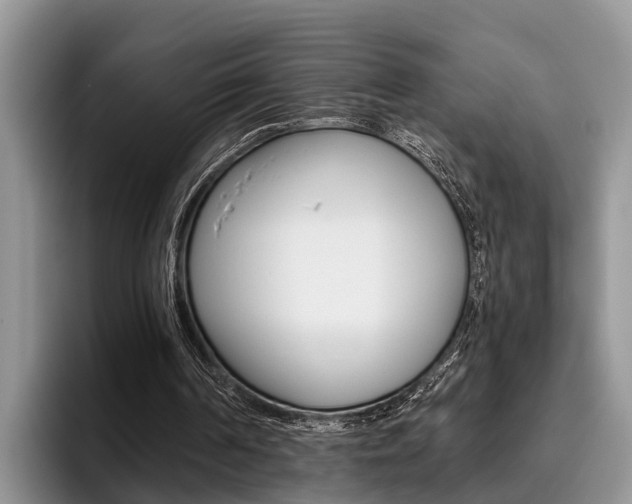 X0000096180194200801180857
