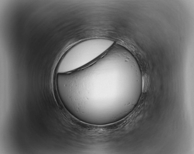 X0000096180195200801180857