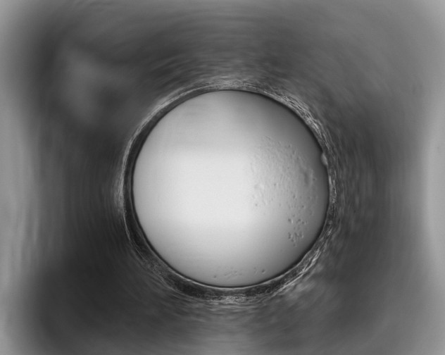 X0000096180196200801180857