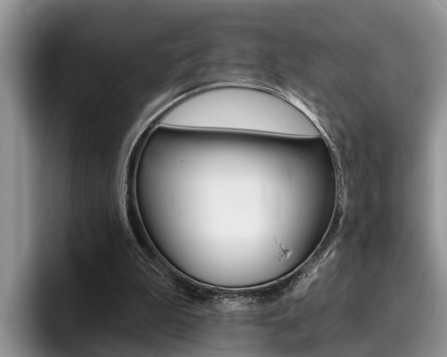 X0000096180199200801180857