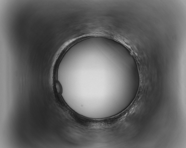 X0000096180200200801180857