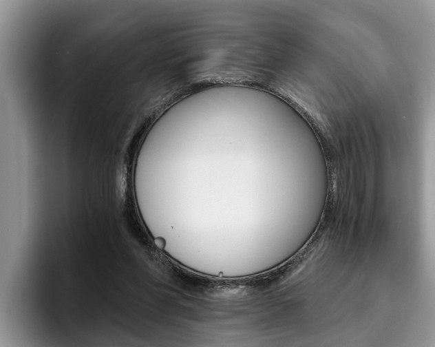 X0000096180206200801180857