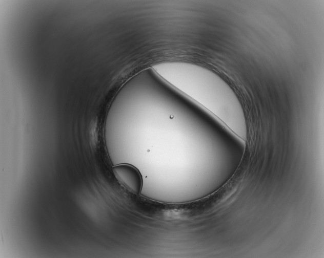 X0000096180216200801180857